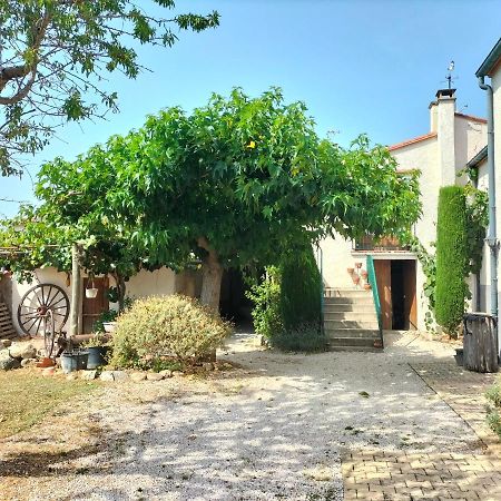 L'Habitacio De Can Rufa Maureillas Bagian luar foto